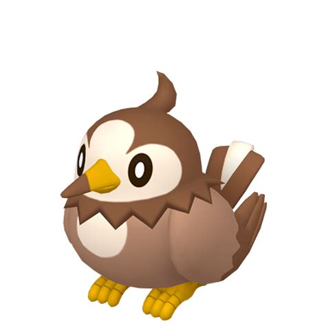 starly best moveset.